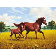 Картина по номерам 40х50 см, ОСТРОВ СОКРОВИЩ «Лошади на лугу», на подрамнике, акриловые краски, 3 кисти, 662464