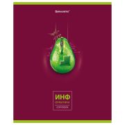 Тетрадь предметная «AVOCADO» 48 л., глянцевый лак, ИНФОРМАТИКА, клетка, BRAUBERG, 404279