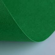 Бумага (картон) для творчества, 1 лист, FABRIANO «Elle Erre», А2+, 500х700 мм, 220 г/м2, темно-зеленый, 42450728